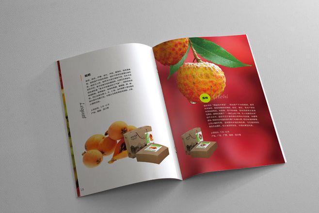 宣傳冊設計一般一頁多少錢？宣傳冊的特點有哪些？