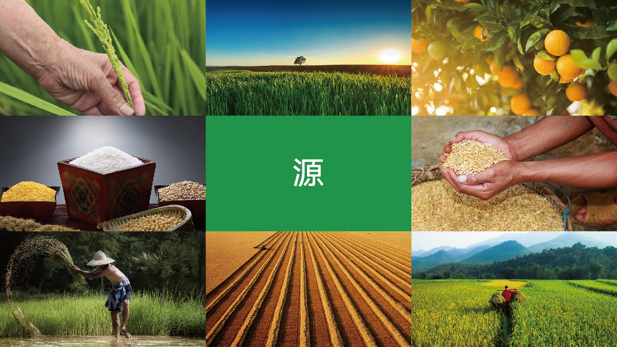 農(nóng)產(chǎn)品品牌設(shè)計技巧有哪些？怎樣塑造品牌形象