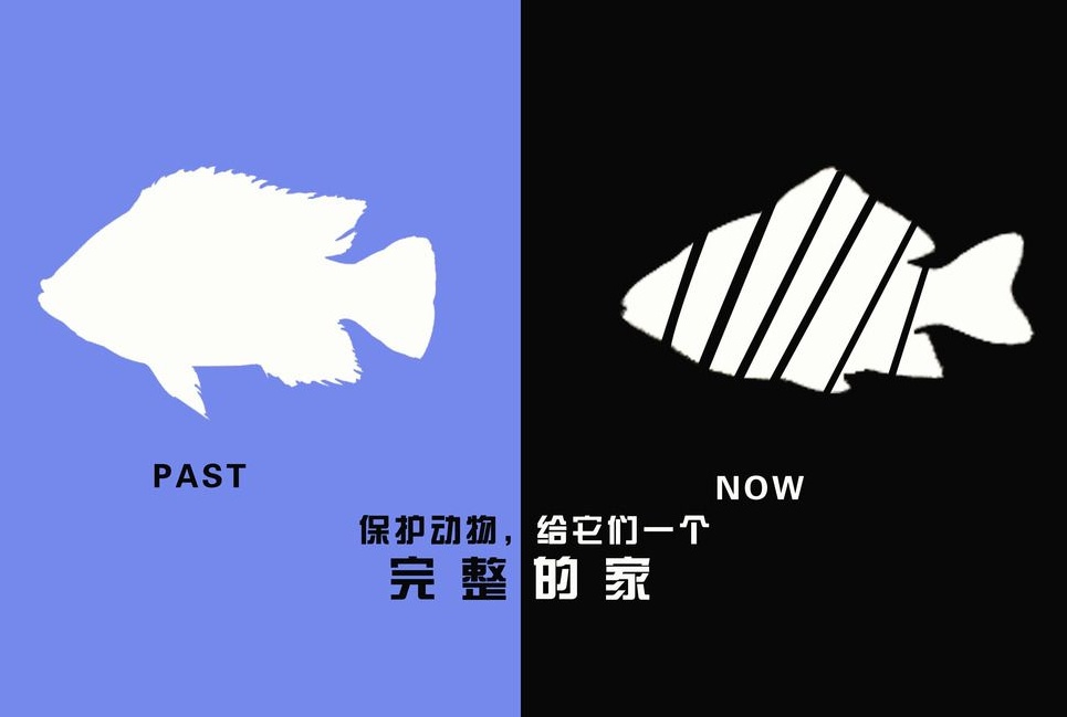 廣告設(shè)計(jì)制作有哪些要求？有哪些注意事項(xiàng)？