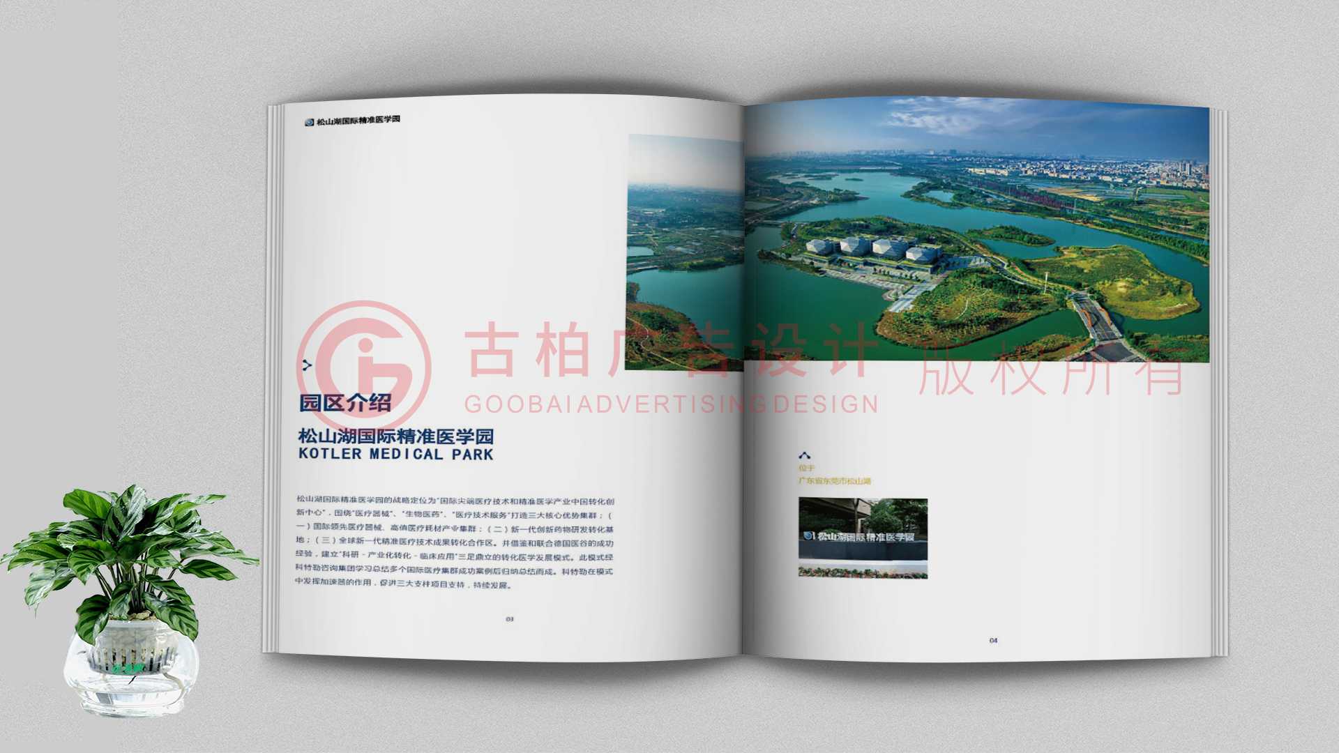 一本聚會(huì)紀(jì)念冊(cè)該如何通過(guò)排版來(lái)提升整體的美觀性？