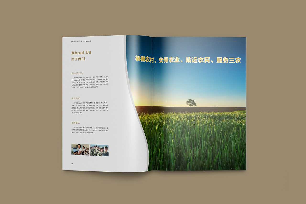 成都企業(yè)為什么要選擇高端宣傳冊設(shè)計公司呢？