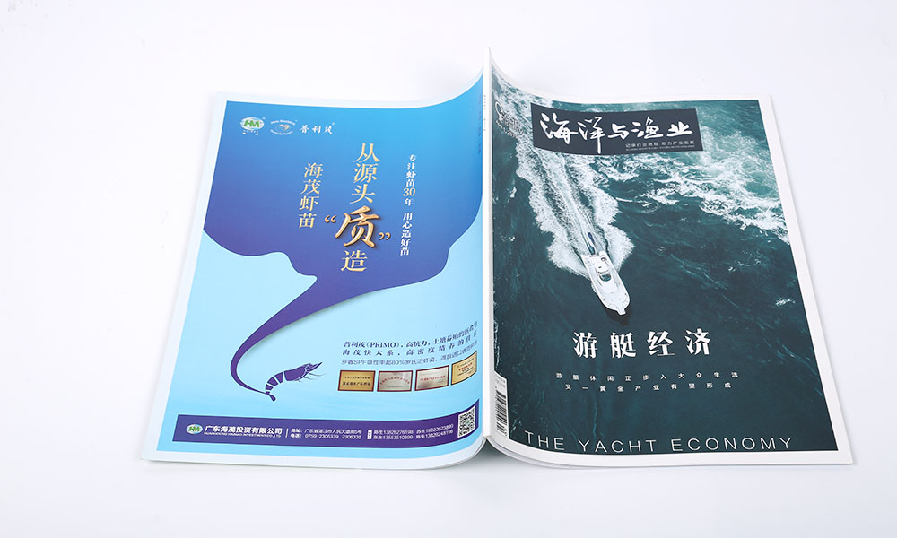 一個畫冊設(shè)計如何？